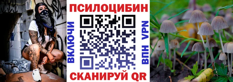 закладка  kraken ТОР  Галлюциногенные грибы GOLDEN TEACHER  Дмитриев 